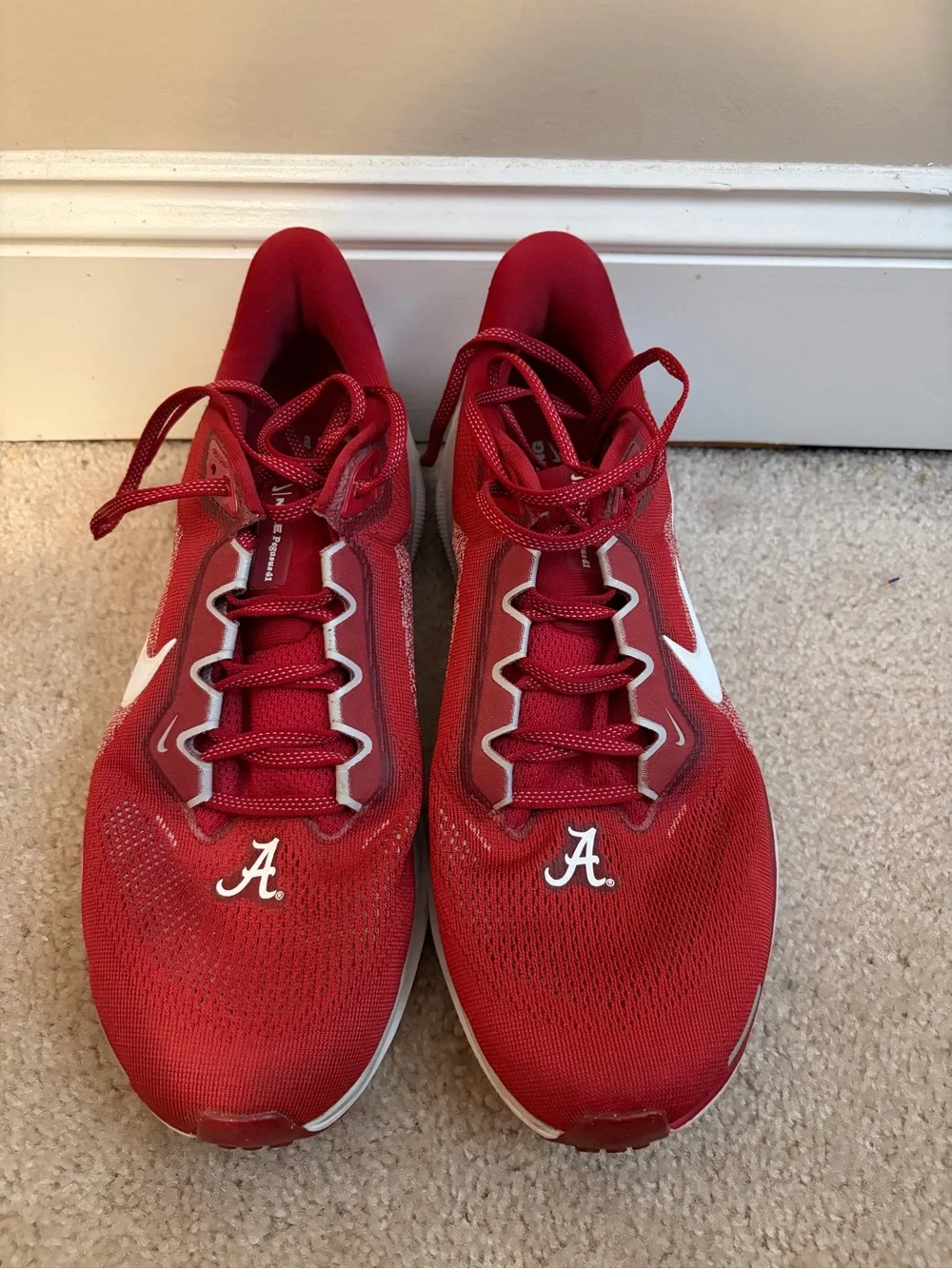 Nike Pegasus 41 Alabama Shoes